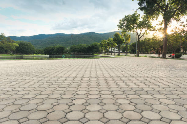 Best Residential Paver Driveway  in Agua Dulce, TX